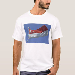 Camiseta Bandera de Singapur