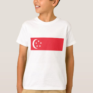 Camiseta Bandera de Singapur