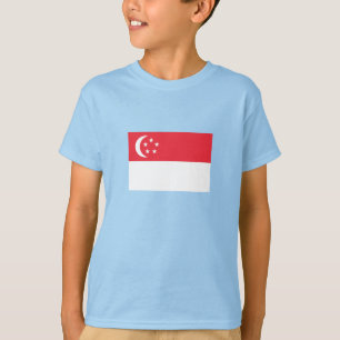 Camiseta Bandera de Singapur