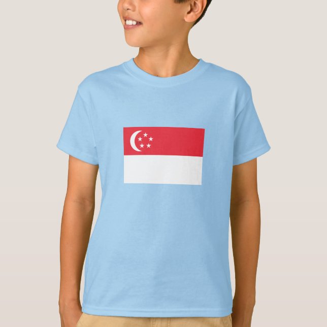 Camiseta Bandera de Singapur (Anverso)