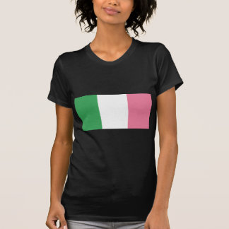 Camiseta Bandera de Terranova (no oficial)