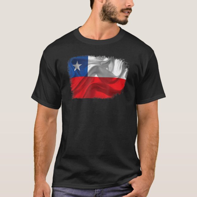 Camiseta Bandera De Texas Textos Estrella Del Orgullo De Ee (Anverso)