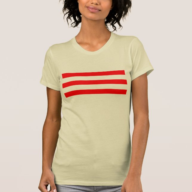 Camiseta Bandera de Vietnam del sur (Anverso)