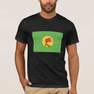 Camiseta Bandera de Zaire