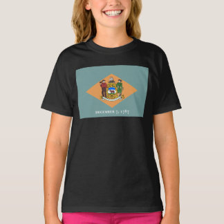 Camiseta Bandera del estado de Delaware The Diamond US