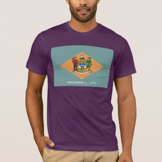 Camiseta Bandera del estado de Delaware The Diamond US