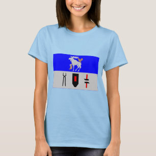 Camiseta Bandera del län de Jämtlands