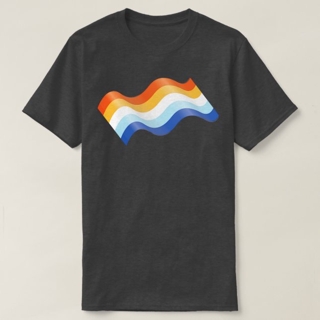 Camiseta Bandera del Orgullo AroAce (Diseño del anverso)