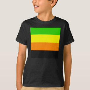 Camiseta Bandera del Orgullo Aromántico de las Malvinas