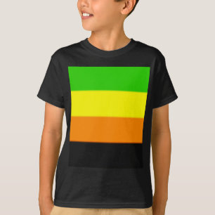 Camiseta Bandera del Orgullo Aromántico de las Malvinas