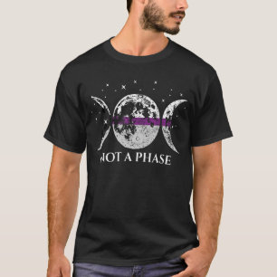 Camiseta Bandera del Orgullo Demisexual No Una Fase