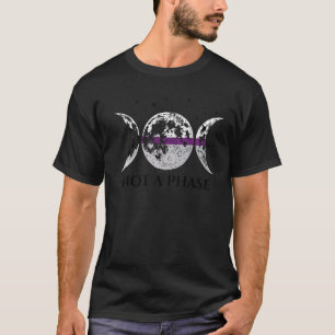 Camiseta Bandera del Orgullo Demisexual No Una Fase