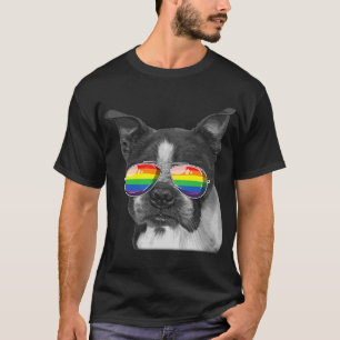 Camiseta Bandera del Orgullo Gay de Boston Gafas de sol LGB