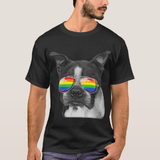 Camiseta Bandera del Orgullo Gay de Boston Gafas de sol LGB
