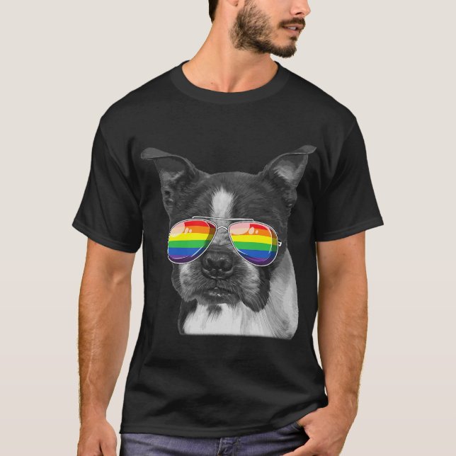 Camiseta Bandera del Orgullo Gay de Boston Gafas de sol LGB (Anverso)