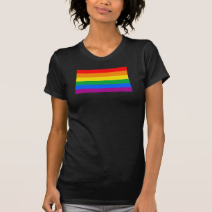 Camiseta Bandera del Orgullo LGBT / Bandera del Arcoiris