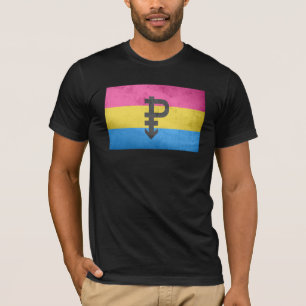 Camiseta Bandera del Orgullo Pansexual