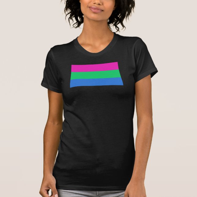 Camiseta Bandera del Orgullo Polisexual (Anverso)