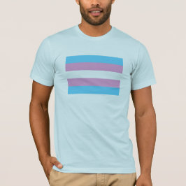 Camiseta Bandera del Orgullo Transgénero