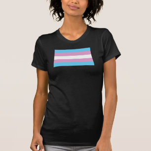 Camiseta Bandera del orgullo transversal