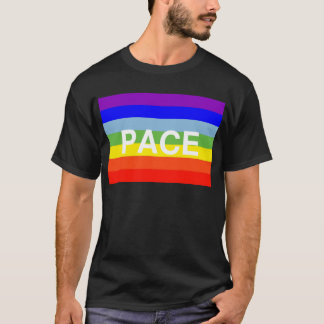 Camiseta bandera del paso