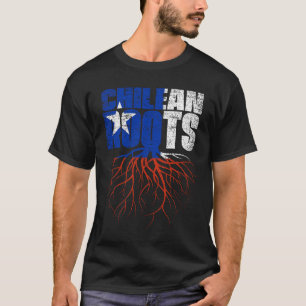 Camiseta Bandera del Patrimonio de Chile