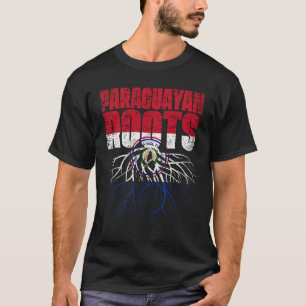 Camiseta Bandera del Patrimonio de Paraguay