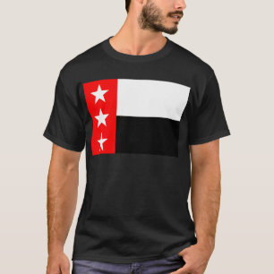 Camiseta Bandera del Rio Grande