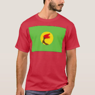 Camiseta Bandera del Zaire 1971 1997
