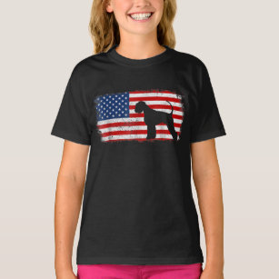 Camiseta Bandera estadounidense del gigante patriótico Schn