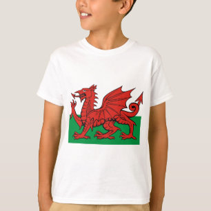 Camiseta Bandera galesa, la usas con orgullo