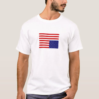 Camiseta bandera grande