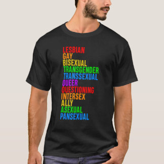 Camiseta Bandera Lgbt Humana Orgullo Gay Mes Transgénero Or