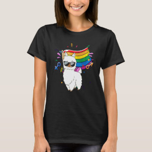 Camiseta Bandera Lgbt Llama Divertida Gay Lesbiana Resiste