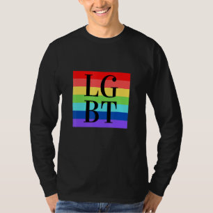 Camiseta Bandera Lgbt Orgullo Gay Transexual Lesbiana Bisex
