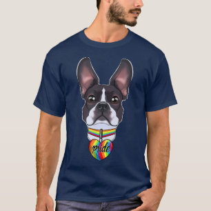 Camiseta Bandera LGBTQ I Bandera del Orgullo Gay I Boston T