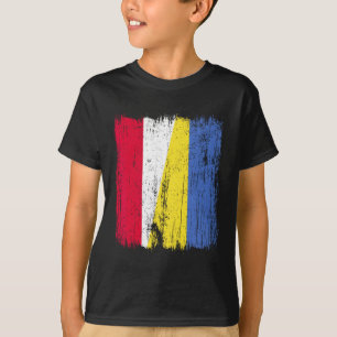 Camiseta Bandera media de Polonia Ucrania Patrimonio polaco