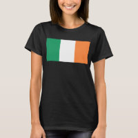 Bandera Nacional de Irlanda, Estandarte irlandés, 