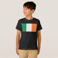Bandera Nacional de Irlanda, Estandarte irlandés, 