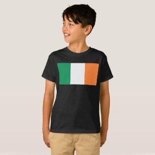 Camiseta Bandera nacional de Irlanda, norma irlandesa, cart