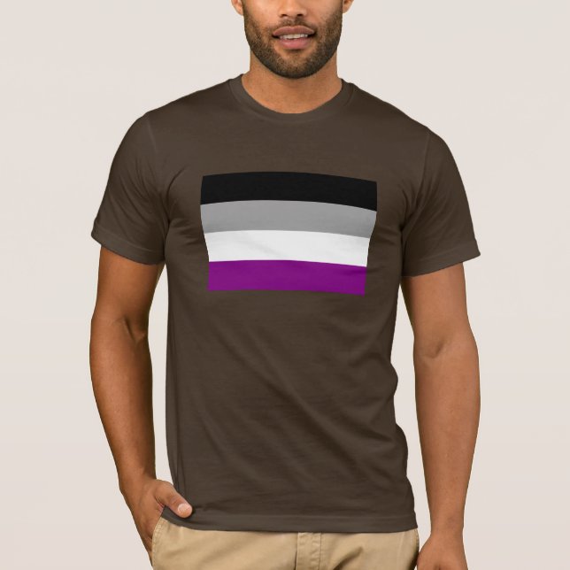 CAMISETA BANDERA OFICIAL DE ORGULLO ASEXUAL (Anverso)