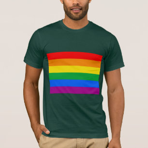 CAMISETA BANDERA OFICIAL DE ORGULLO GAY