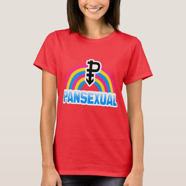 CAMISETA BANDERA PANSEXUAL DEL ARCO IRIS (Anverso)