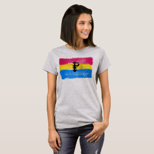 Camiseta BANDERA PANSEXUAL PINTADA y SÍMBOLO del ORGULLO
