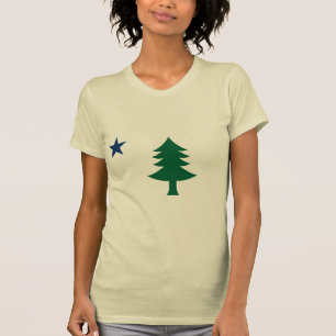 Camiseta Bandera principal de 1901