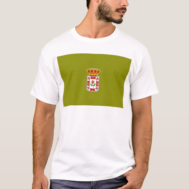 Camiseta Bandera provincial de Granada (España) (Anverso)