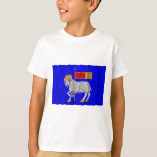 Camiseta Bandera que agita del län de Gotlands