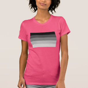 CAMISETA BANDERA RECTA OFICIAL DE ORGULLO