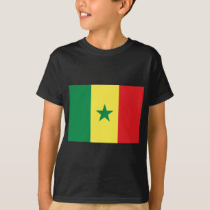 Camiseta Bandera Senegal