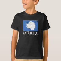 Bandera vintage de la Antártida